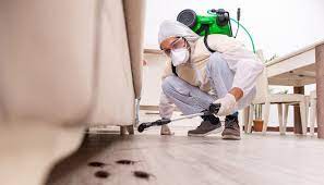 Pest Control Services: Busting Common Myths and Misconceptions